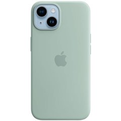 Силиконовый чехол Apple Silicone Case MagSafe Succulent (MPT13) для iPhone 14