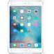 Защитное стекло для iPad Mini 4 Tempered Glass Pro Прозрачный смотреть фото | belker.com.ua