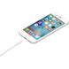 Зарядное устройство Apple iPhone с кабелем Белый в магазине belker.com.ua