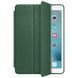 Чехол для iPad Pro 12.9 2017 Apple Smart Case Хвоя смотреть фото | belker.com.ua