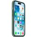 Чехол Apple Silicone Case MagSafe для iPhone 15 Хвоя в магазине belker.com.ua