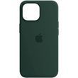 Чехол для iPhone 13 Soft Case Темно зеленый смотреть фото | belker.com.ua