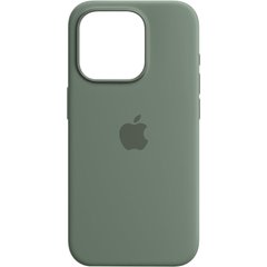 Чехол Apple Silicone Case MagSafe для iPhone 15 Pro Хвоя
